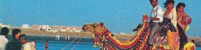 camel-ride-at-clifton.jpg Pakistan travel and tours and hotel reservations