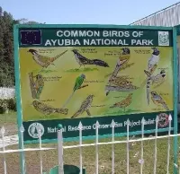 Continental Hotel Abbottabad Room