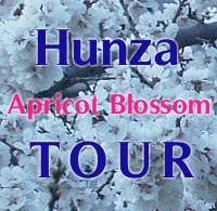 Apricot Blossom Tour
