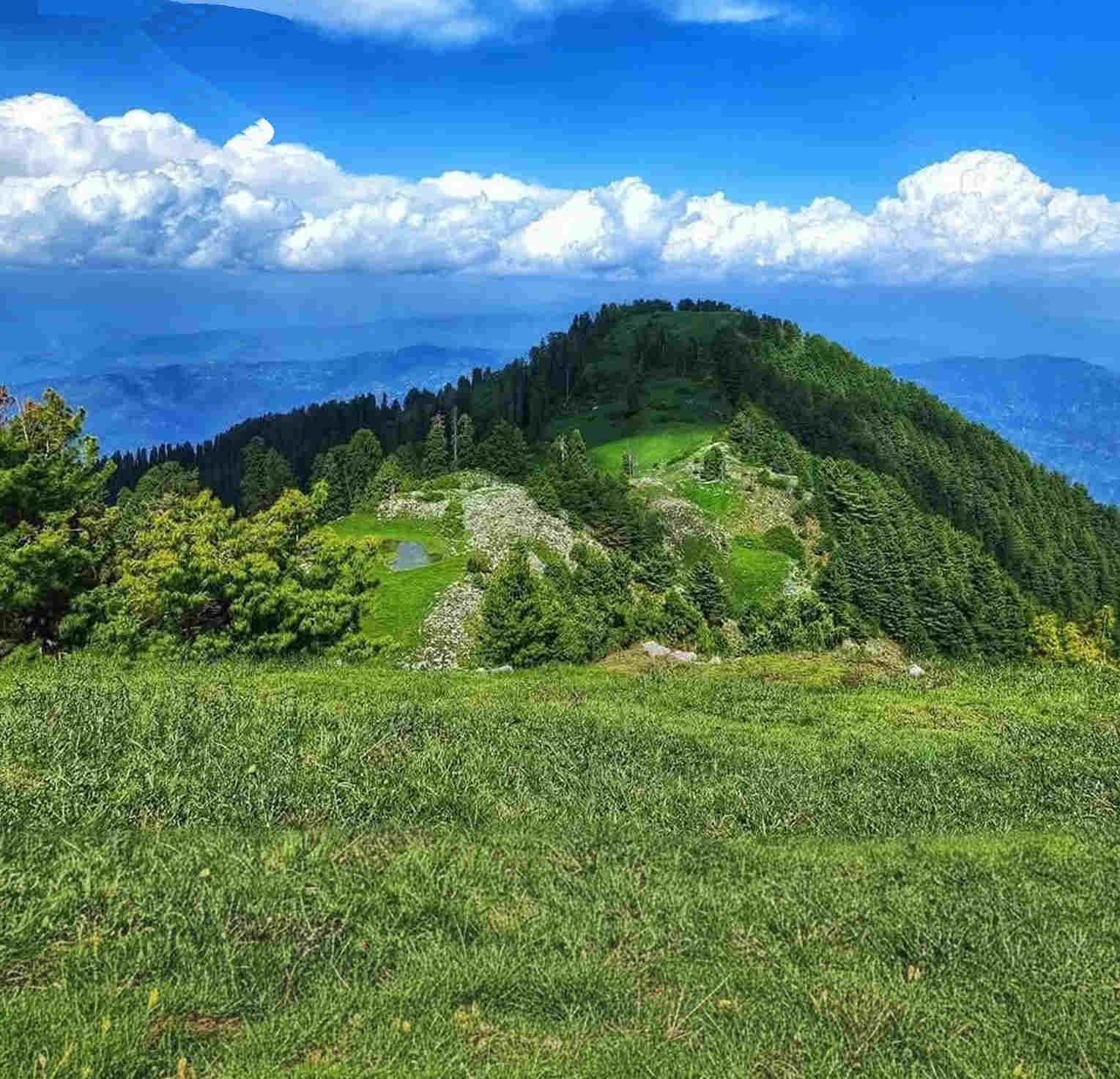 Mushkpuri Top – Complete Travel Guide Mushkpuri Top – A Hidden Gem of Galiyat, Pakistan…
