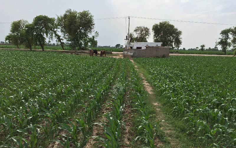 Agricultural fields and canals around Okara Pakistan